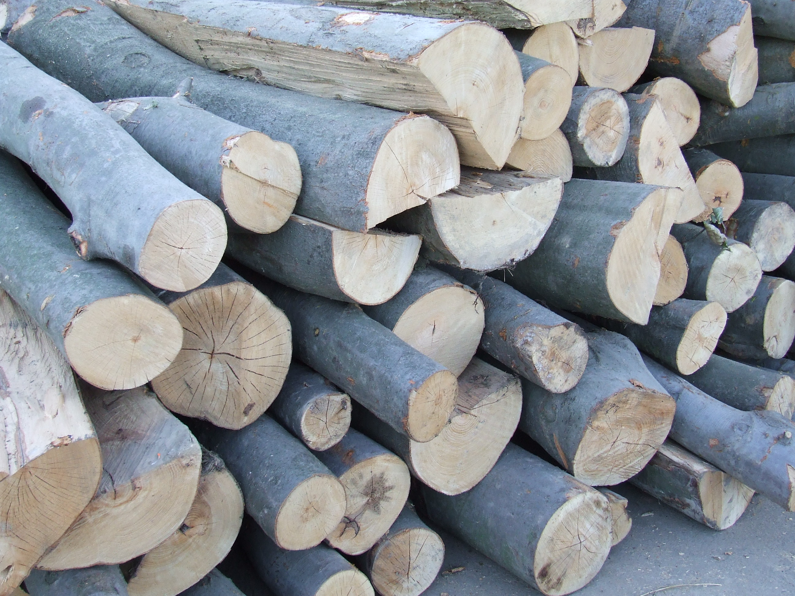 Drewno stosowe